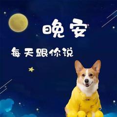 每天跟你说晚安封面