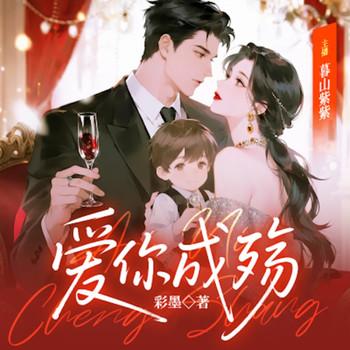 爱你成殇封面