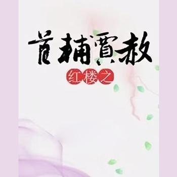 红楼之首辅贾赦封面