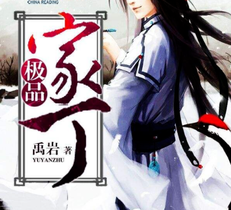 极品家丁封面