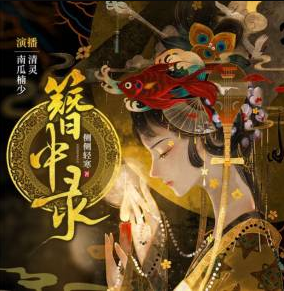 簪中录封面