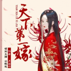 天下第一嫁封面
