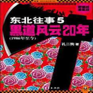 东北往事之黑道风云20年第五部封面