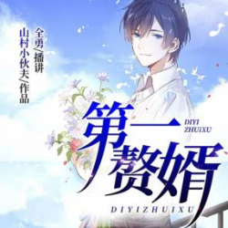 第一赘婿封面