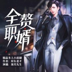 全职赘婿封面
