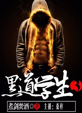 黑道学生封面