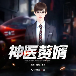 神医赘婿封面