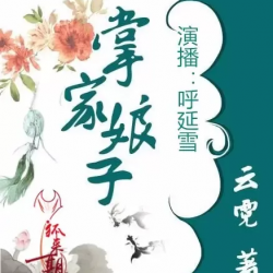 掌家娘子封面