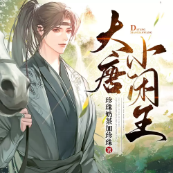 大唐小闲王封面