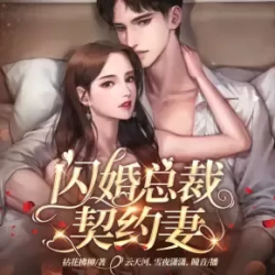 闪婚总裁契约妻封面