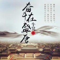 奋斗在盛唐封面