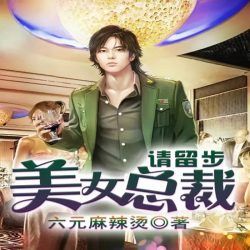 美女总裁请留步封面