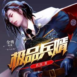 极品兵婿封面