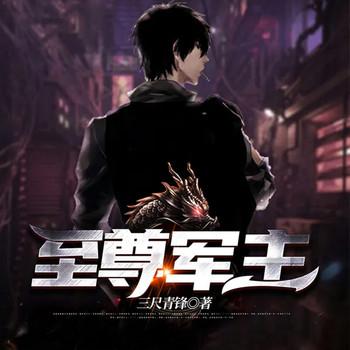 至尊军主封面