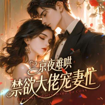 京夜难哄，禁欲大佬宠妻忙封面