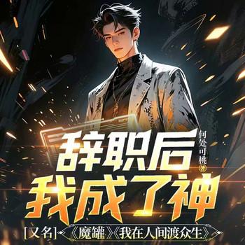 辞职后我成了神封面