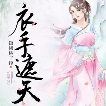 衣手遮天(多人剧)封面