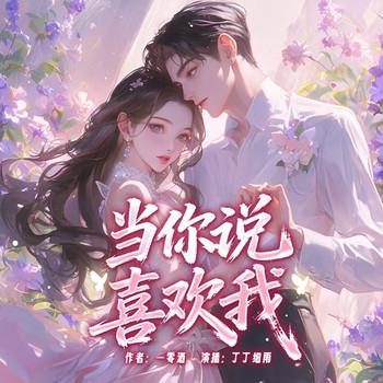 当你说喜欢我封面