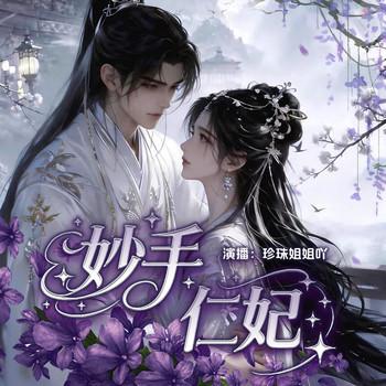 妙手仁妃封面