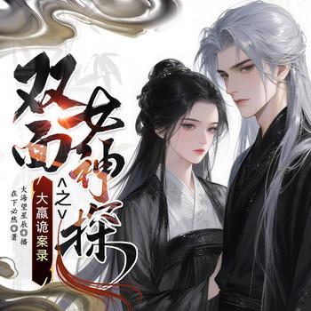 双面女神探之大嬴诡案录封面