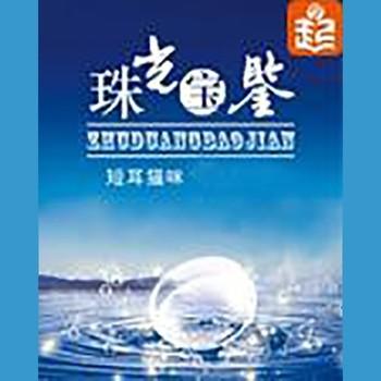 珠光宝鉴封面