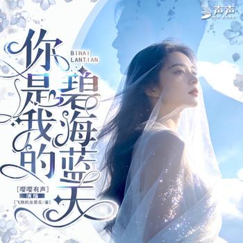 你是我的碧海蓝天封面