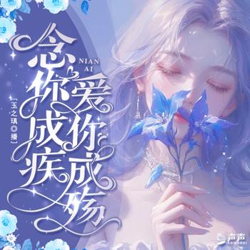 念你成疾，爱你成殇封面