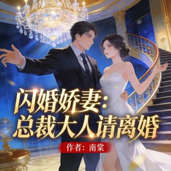 闪婚娇妻：总裁大人请离婚封面