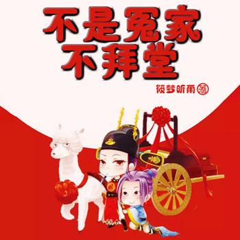 不是冤家不拜堂(多人剧)封面