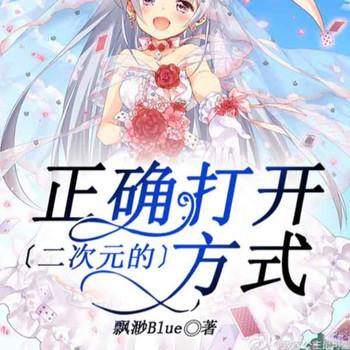 二次元的正确打开方式封面