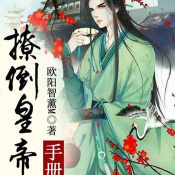 撩倒皇帝手册封面