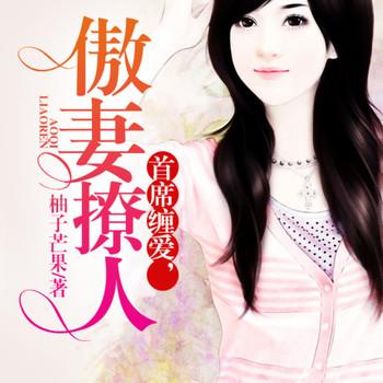 家有傲妻，首席追妻进行封面