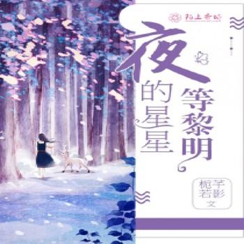 夜的星星等黎明封面
