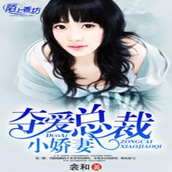 夺爱总裁小娇妻封面