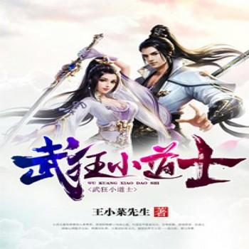 武狂小道士封面