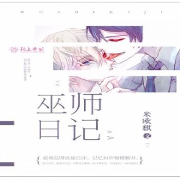 巫师日记封面