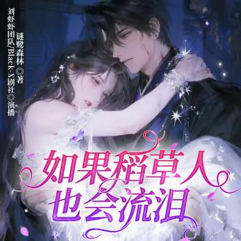如果稻草人也会流泪封面