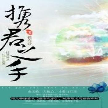 携君之手封面