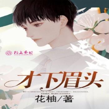 才下眉头封面