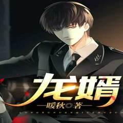 龙婿(多人剧)封面