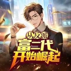 从反派富二代开始了崛起封面