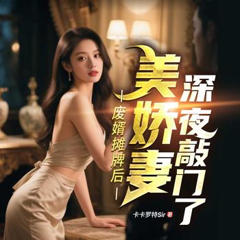 废婿摊牌后，美娇妻深夜敲门了封面