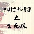 中国古代奇案之生死板封面