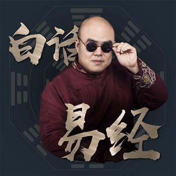 鲁智深白话易经：实用指南封面