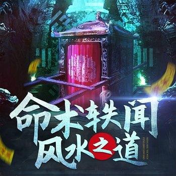 命术轶闻：风水之道封面