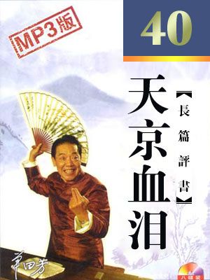 天京血泪 封面