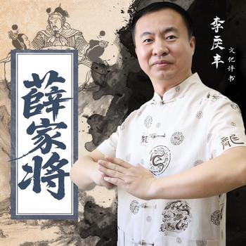 薛家将(多人剧)封面