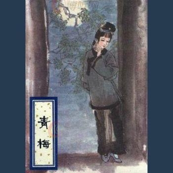 王yue波(多人剧)封面