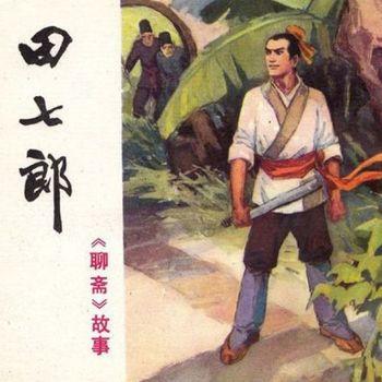 王玥波评书—聊斋之田七郎(多人剧)封面