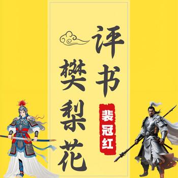 评书樊梨花封面